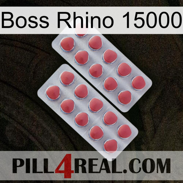 Boss Rhino 15000 19